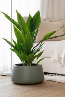 VIVANNO Blumentopf Fiberglas GORDO Rund - Grau (1 St), 38x21 cm