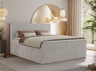 Boxspringbett mit Kopfteil und Topper, Cord Bett - TILIANO - 160 x 200 cm - Hellgrau Cord - H3