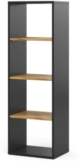 Vicco Bücherregal Anthrazit/Goldkraft Eiche 40x120 cm ,4 Fächer, Tomy