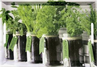 Kesper Serviertablett Herbs 48 x 30 x 3. 5 cm