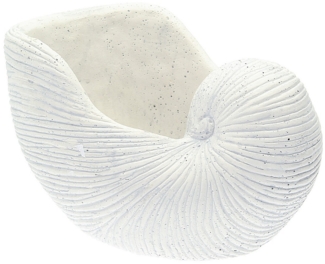 Dekoria Blumentopf Shell