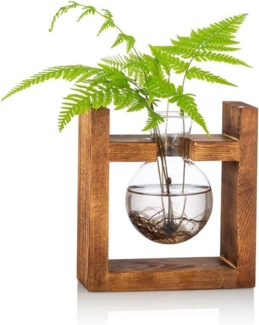 Glühbirne Avocado Vase Glas Pflanzgefäß Holzregal Grünwasserpflanzen Desk Decor