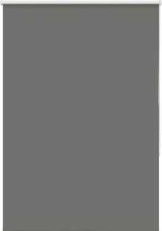 vidaXL Verdunkelungsrollo Grau 110x130 cm Stoffbreite 105,7cm Polyester 4011104