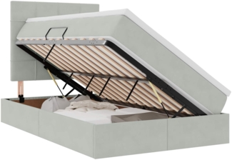 vidaXL Bett mit Stauraum und LED Hellgrau 120x200 cm Samt 3372021