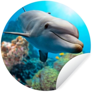 MuchoWow Wandsticker Delfin - Meer - Koralle (1 St), Wandtattoo Selbstklebend, Wohnzimmer Deko Aufkleber, 30x30 cm