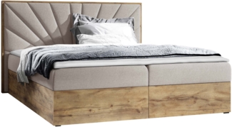 Boxspringbett Worik VII, Beige, 160x200 cm