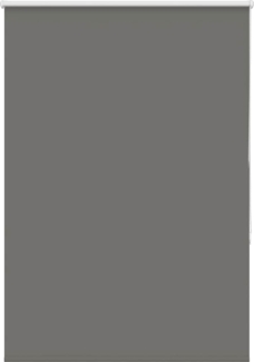 vidaXL Verdunkelungsrollo Grau 115x130cm Stoffbreite 110,7cm Polyester 4011105