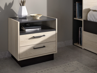 Vente-unique - Nachttisch mit 2 Schubladen & 1 Ablage - Naturfarben & Anthrazit - LEANDRE