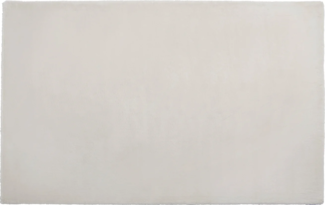 Vente-unique - Hochflorteppich in Pelz-Optik - 200 x 290 cm - Beige - BUNNY