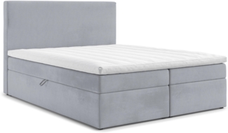 AX LIVING Boxspringbett 200x200 Kilve Hellgrau Samt Bettkasten Topper
