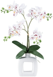 Kunstorchidee Orchidee Phalaenopsis Orchidee, my home, Höhe 55 cm, mit real-touch-Blüten