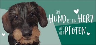 United Labels® Tasse Hunde - Dackel - Ein Hund ist ein Herz auf vier Pfoten - Mug, Keramik