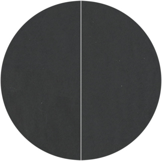 vidaXL Runde Poolabdeckung Schwarz Polyethylen Ø 244 cm Wasserdicht 42009112
