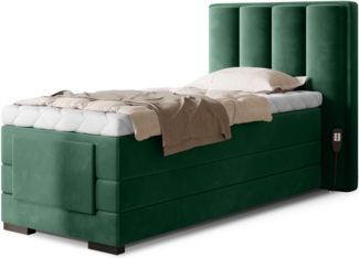 Eltap Veros ElektrischenBett (Lukso 35) 90x200 Holzrahmen