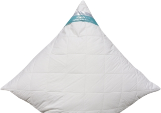 Betten Hofmann Faserkissen Allergiker Kopfkissen 80x80 cm mit Reißverschluss