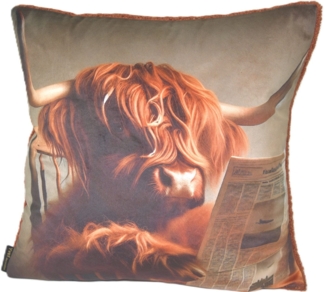 Yve! Decoration El Toro Hochlandrinder c - ca. 45x45 cm Sonnenbrille mit Zeitung