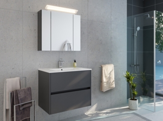 Badmöbelset Taifun 70cm 2tlg mit Spiegelschrank grafit : Grafit