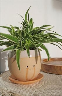 Winkee Blumentopf Weinender Pflanzentopf (mit Schale, 1 St, handgefertigt), ca. Ø 12 cm, 10 cm hoch