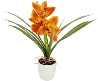 Kunstblume Orchidee, I.GE.A, Höhe 32 cm, Mit Blätter im Topf aus Keramik Künstliche Blume Cymbidium-Orchidee