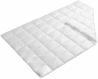 f. a. n. Leichtsteppbett Natur Cotton Baumwolle 200x200 cm