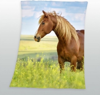 Pferde Fleecedecke Kuscheldecke mit Pferd 130x160 cm