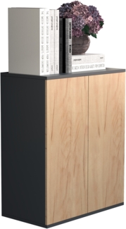 VCM Kommode & Sideboard Dalosa 918321 Anthrazit / Honig-Eiche H. 73 x B. 60 x T. 32 cm