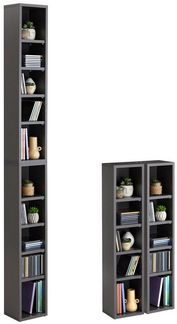 CARO-Möbel CD-Regal CHART, Medienregal aus 2 Modulen, Medien Aufbewahrung bis zu 160 CDs grau