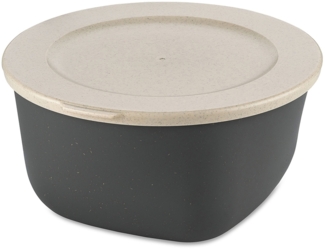 Koziol Dose Connect Box mit Deckel, Schüssel, Schale, Kunststoff-Holz-Mix, Nature Ash Grey, 2 L, 7871701