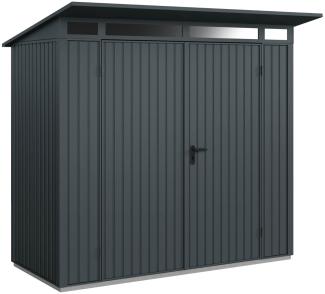 Hörmann Metall-Gerätehaus Berry Classic mit Pultdach Typ 1, 248 x 153 cm, anthrazitgrau, 3,8 m²,2-flüglige Tür