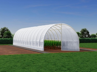 Vente-unique - Ersatzabdeckung für Foliengewächshaus mit Tür - 36 m² - 300 x 1200 x 200 cm - Weiß - ALOCASIA