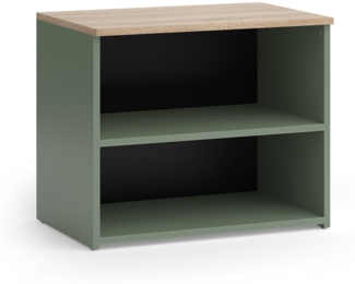 Lowboard Wido Grün 60 x 50 cm mit 2 Fächern Vicco