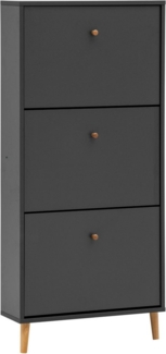 Schildmeyer Bjarne Schuhschrank 160173, anthrazit matt, 59,8 x 19,5 x 131 cm, platzsparend durch geringe Tiefe