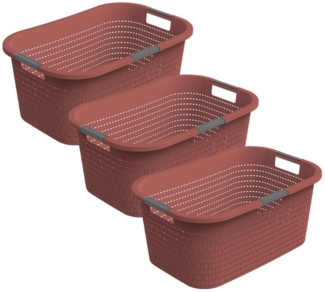ROTHO Wäschekorb 3er-Set Wäschebox 40L COUNTRY, ergonomische Wäschebehälter mit Griffe (Wäschekorbset, 3er-Set), Belüftete Rattanstruktur verhindert Gerüche & sorgt für Frische