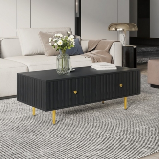 radelldar Couchtisch Wohnzimmertisch, Breite 110 cm (1 Tisch), Kaffeetisch, Sofatisch mit 2 Schubladen und Metallfüßen