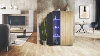 Vladon Standvitrine Davos (Standvitrine, mit 3 Glasböden und 8 Fächer inkl. LED) Anthrazit matt/Eiche Wotan (71,5 x 134 x 35 cm)
