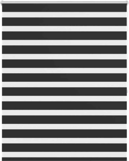 Doppelrollo Seitenzug 120 x 175 cm schwarz 240216