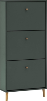 Schildmeyer Bjarne Schuhschrank 160174, waldgrün, 59,8 x 19,5 x 131 cm, platzsparend durch geringe Tiefe
