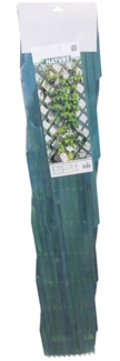 Nature Garten-Rankgitter 2 Stk. 100 x 200 cm Holz Grün 276935