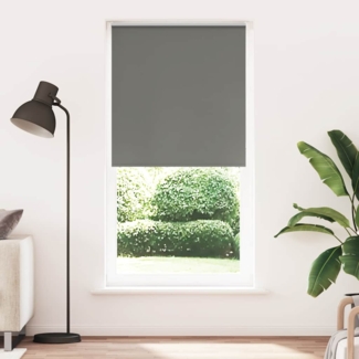 vidaXL Verdunkelungsrollo Grau 110x210 cm Stoffbreite 105,7cm Polyester 4011182