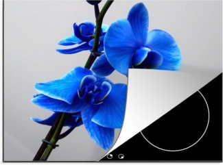 MuchoWow Herd-Abdeckplatte Blaue Orchidee, Vinyl, (1 tlg), Küche Herdabdeckplatte Ceranfeld Vinyl Einteilig, 59x52 cm