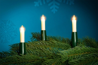 NARVA Lichterkette NARVA 20er Kleinschaft-Lichterkette weiß innen