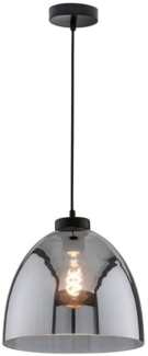 FISCHER & HONSEL LED Pendelleuchte, LED wechselbar, Warmweiß, Industriedesign Pendel einflammig mit Rauch-Glas Lampenschirm Ø 28cm