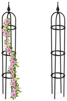 Rankhilfe 100 cm 2er Set