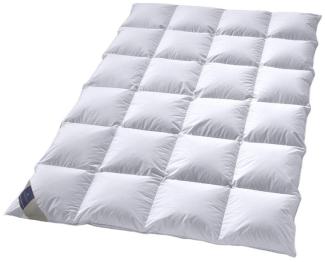 Billerbeck Daunendecke ALMIRA KASSETTE II | warme Winterdecke 155x220 cm