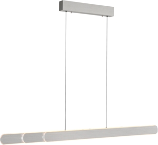 Paul Neuhaus Pendelleuchte ADRIANAROU, Dimmfunktion, Memory, nach Trennung vom Netz, LED fest integriert, warmweiß - kaltweiß, CCT - über Touch, dimmbar über Touchdimmer, Comfort Lift