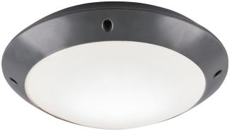 LED Außendeckenleuchte Wandlampe rund in Anthrazit - 26 cm