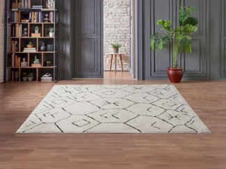 Vente-unique - Hochflorteppich Berber - 160 x 230 cm - Beige und Schwarz - JABARI