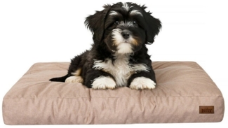 Bjird Hundematratze Hundekissen Grand - Hundebett für kleine, mittlere und große Hunde, wasserabweisend, weich und dick - made in EU Größe: M,L,XL,XXL