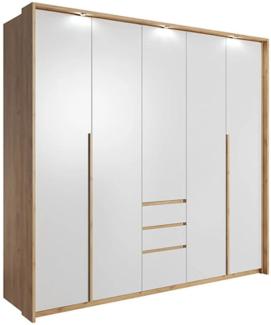 Kleiderschrank Xelo Falttürenschrank mit LED 229x65x215,5cm wildeiche gold weiß