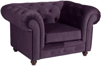 Sessel Kathe Bezug Samtvelours Buche nussbaum dunkel / purple 22501